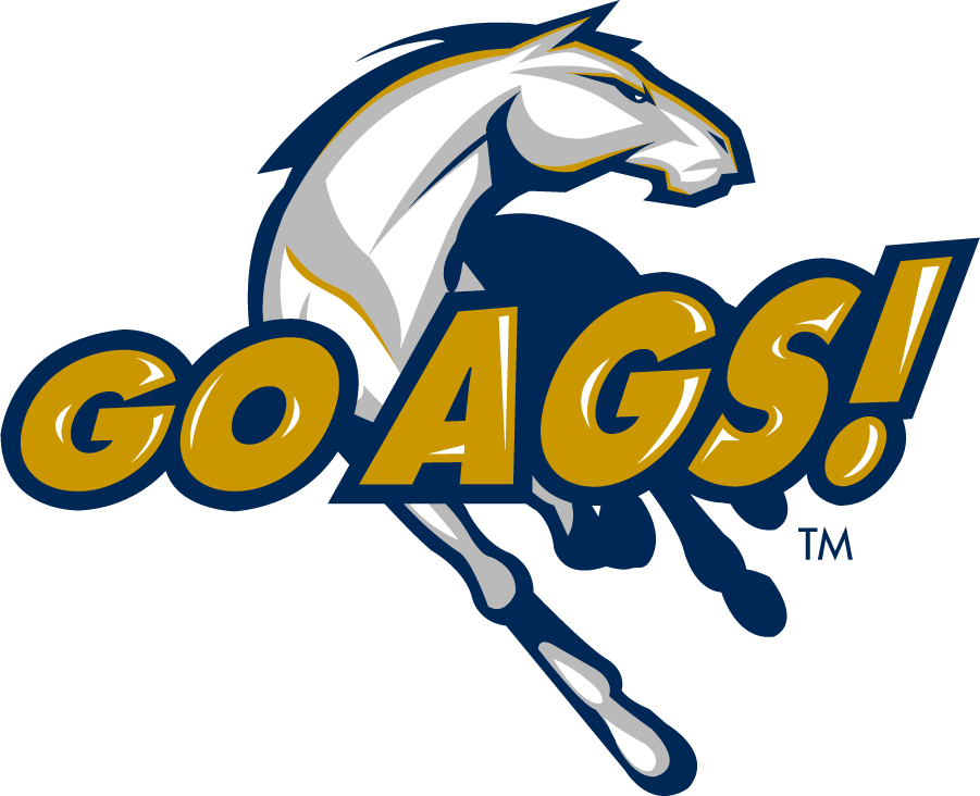 California Davis Aggies 2013-2019 Secondary Logo iron on transfers for clothing